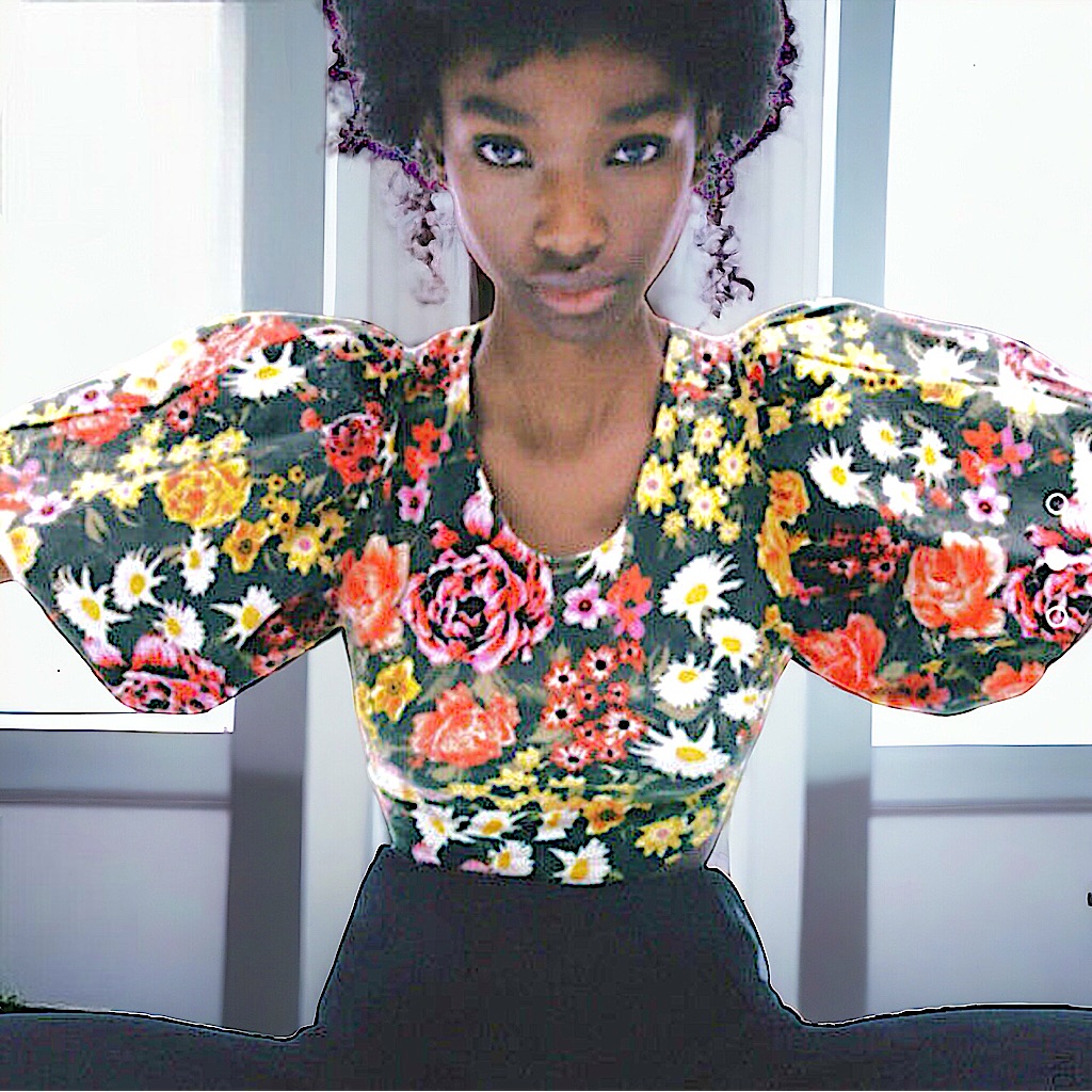 Zara Floral Print Puff Sleeve Crop Top Nwt Medium